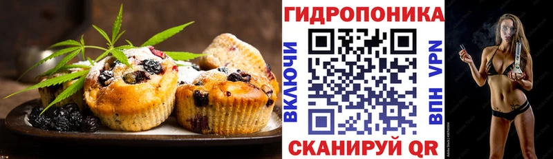 Купить  Нолинск  Cannafood конопля 