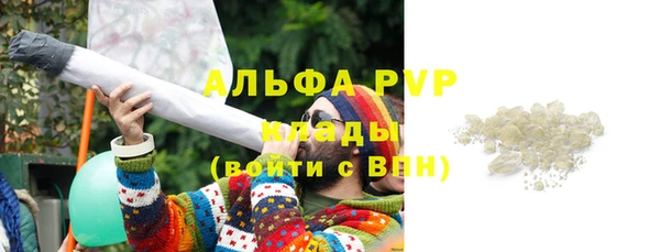 шишки Верея