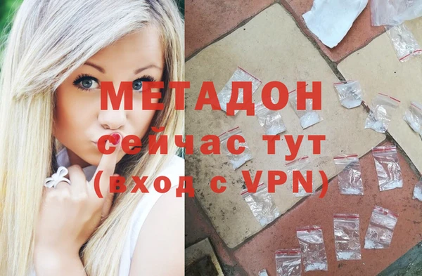 шишки Верея