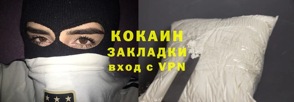 шишки Верея