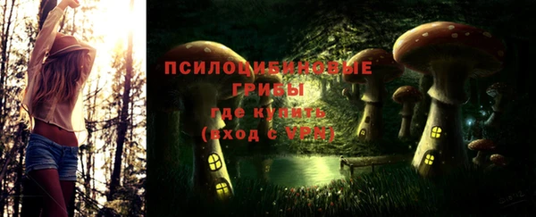 шишки Верея