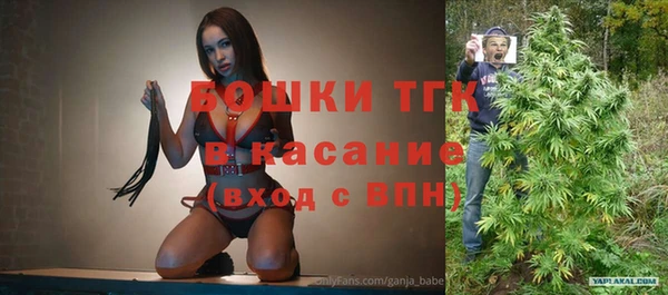 шишки Верея