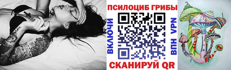 Псилоцибиновые грибы прущие грибы  Купить закладки  Нолинск 