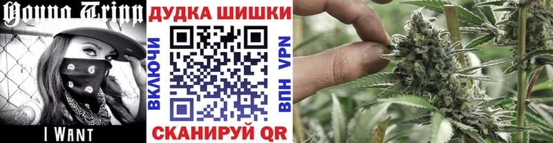 Купить закладки  Нолинск  Марихуана индика 